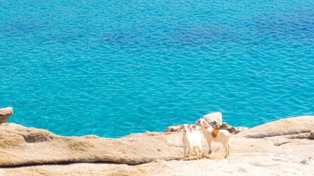 Holiday home Sunny Getaway In Lia Mykonos